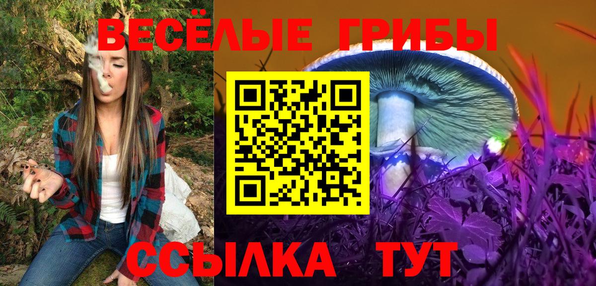 Галлюциногенные грибы GOLDEN TEACHER  Вход с VPN  Волгоград 