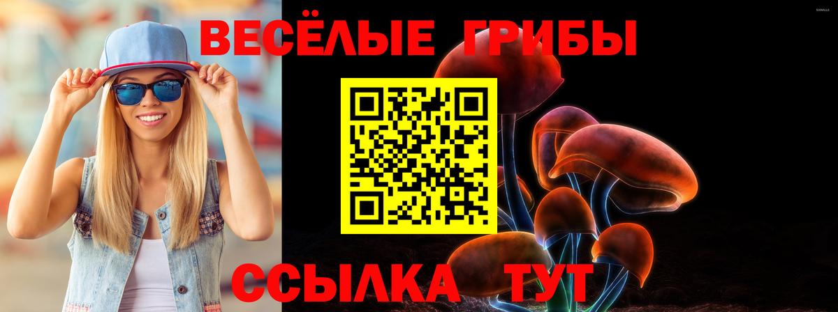 Псилоцибиновые грибы Psilocybine cubensis Волгоград